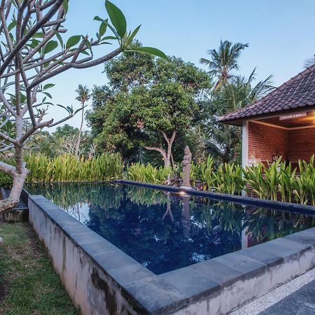 Dhiari Guest House Ubud  Ngoại thất bức ảnh